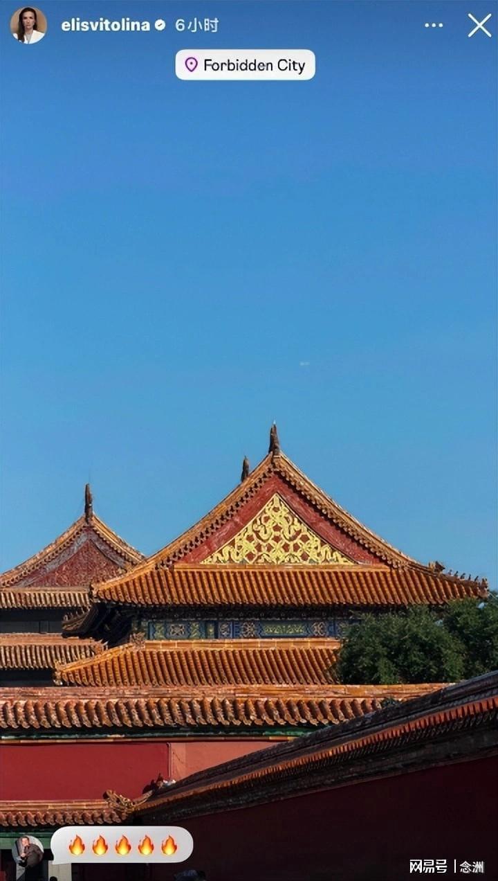 ylzz总站线路检测展示图片
