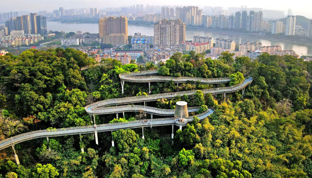 ylzz总站线路检测详情图