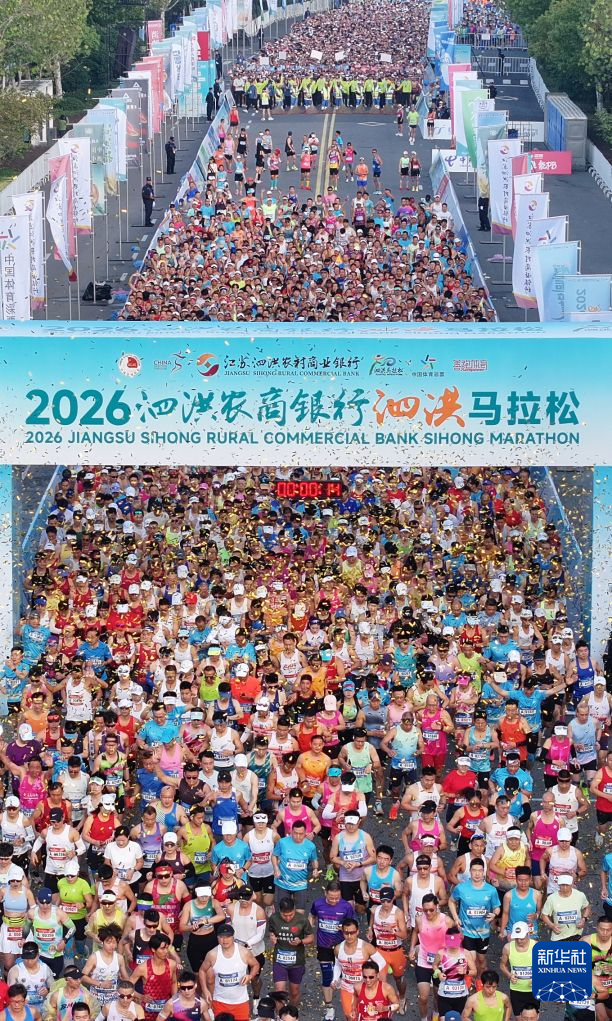 ylzz总站线路检测案例展示