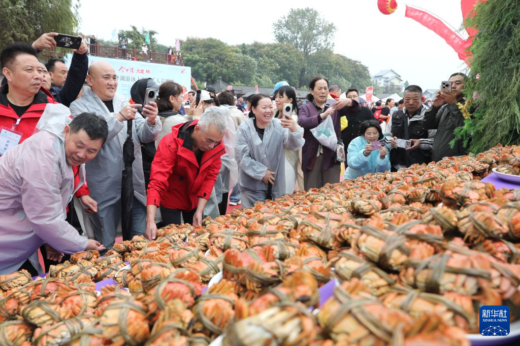 ylzz总站线路检测图片展示